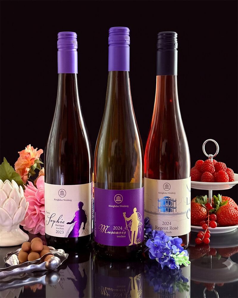 Drei Flaschen Wein vom Königlichen Weinberg in Potsdam stehen vor einem schwarzen Hintergrund. 