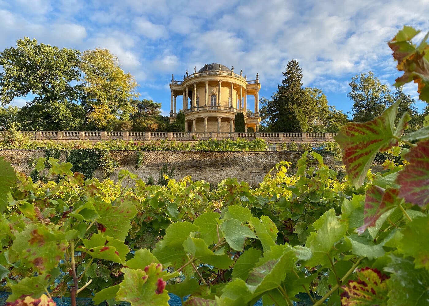 Belvedere über dem Königlichen Weinberg