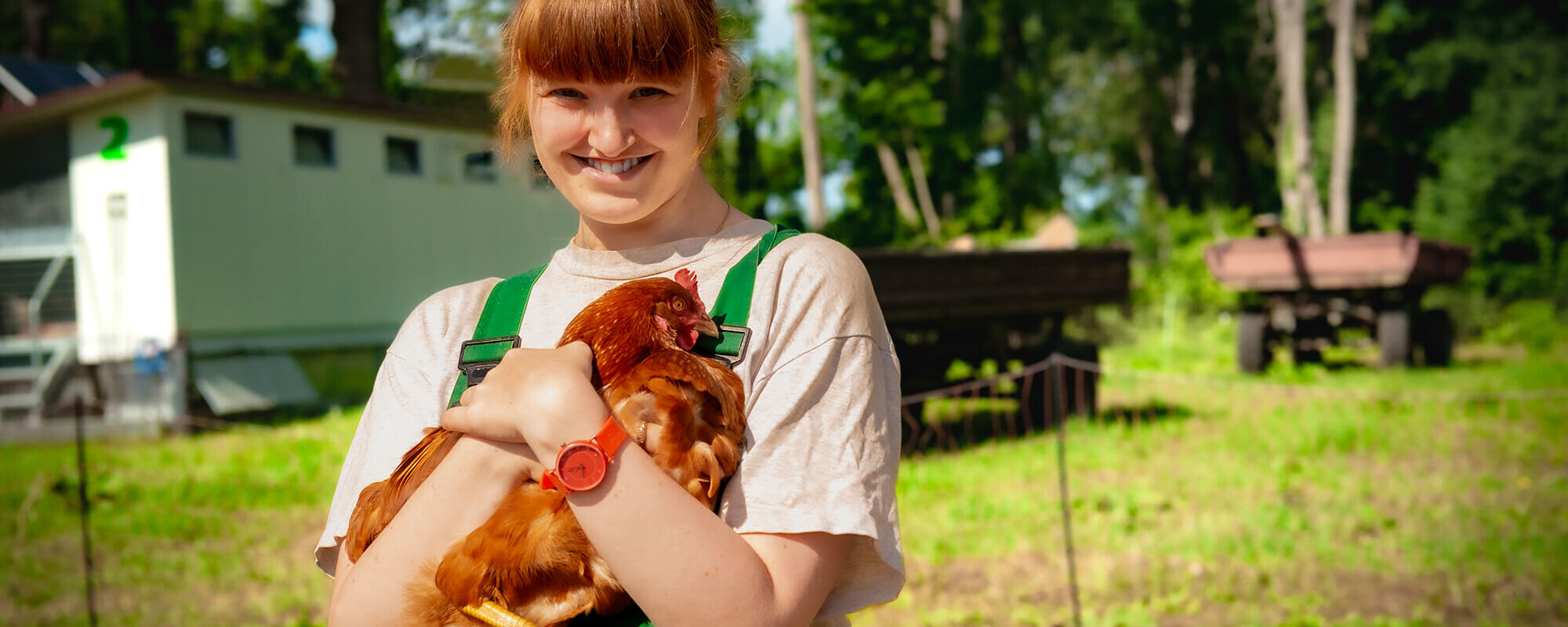 Eine Mitarbeiterin in Arbeitskleidung steht auf der Wiese und hält ein Huhn im Arm.