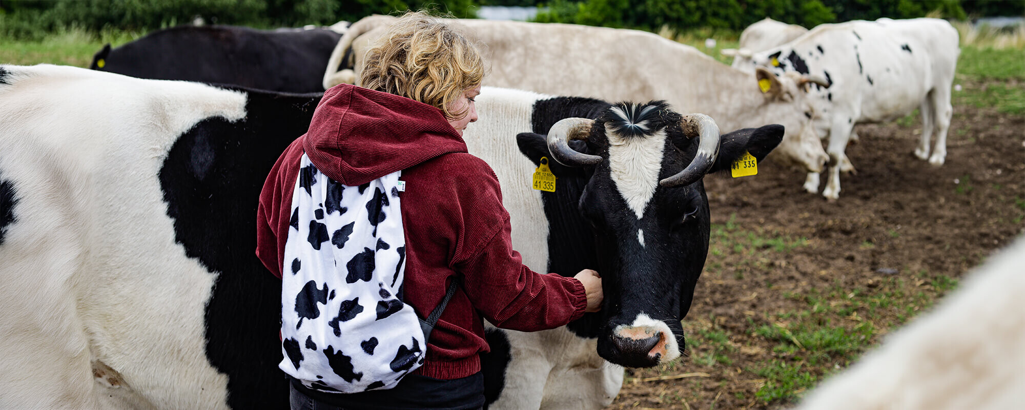 Frau mit Rucksack mit Kuhfell-Print steht vor einer Kuh auf der Weide.