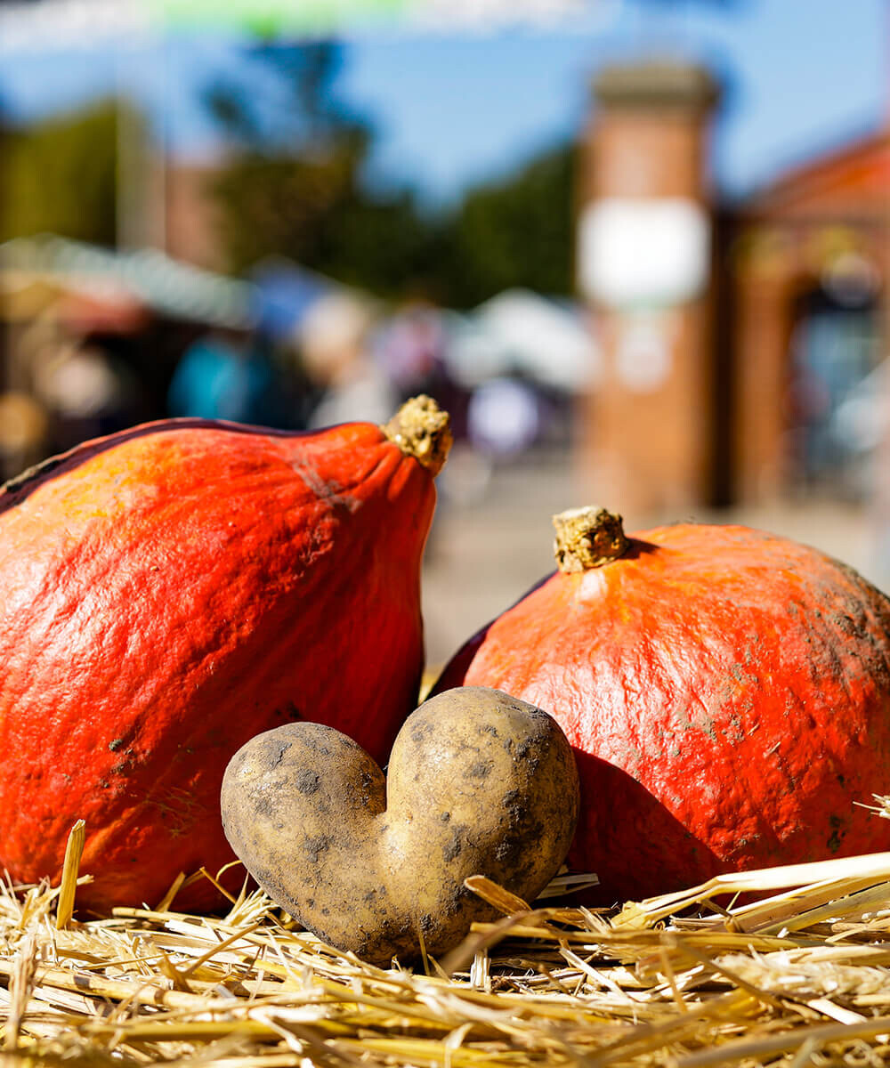 Zwei Kürbisse und eine Kartoffel in Herzform liegen auf einem Strohballen vor dem Tor vom Ökohof Kuhhorst.
