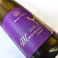 2024er Muscaris / trocken