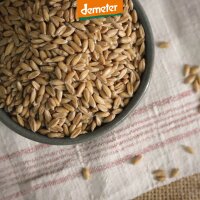 Schale mit Dinkelkörnern von oben