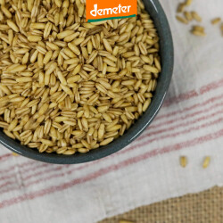 Haferkörner aus Kuhhorste in einer kleinen Schale...