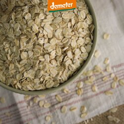 Schale mit Haferflocken fein von oben