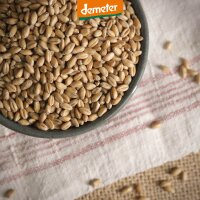 Schale mit Weizenkörnern von oben