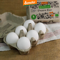 Eierpackung mit 6 Eiern