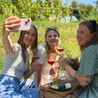 WeinPICKNICK Gutschein
