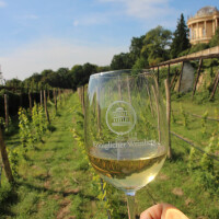WeinPICKNICK Gutschein