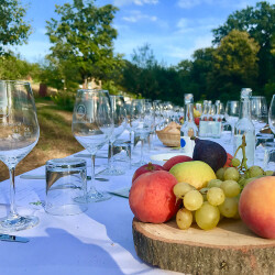 Gedeckte Tafel bei der Weinvesper auf dem Königlichen Weinberg draußen